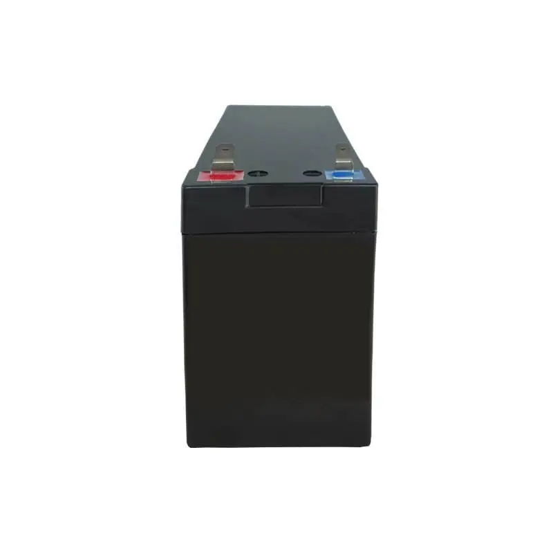 Custom electric sprayer battery with built-in BMS protection